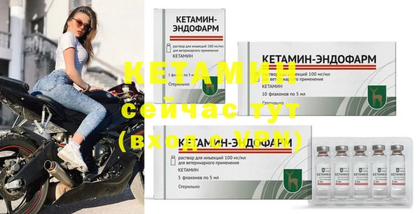 прущие грибы Вязьма