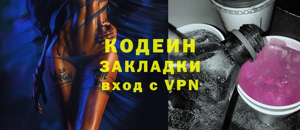 шишки Богородицк