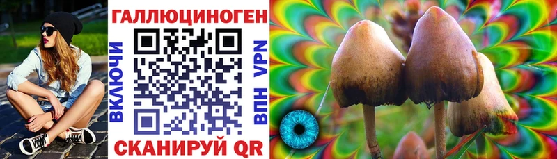 Галлюциногенные грибы ЛСД  Дубовка 