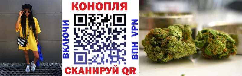 как найти наркотики  Дубовка  МАРИХУАНА OG Kush 